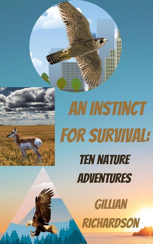 An Instinct for Survival: Ten Nature Adventures - Gillian Richardson - ebook