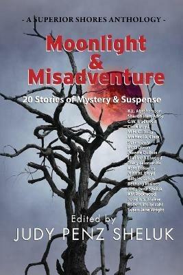 Moonlight & Misadventure: 20 Stories of Mystery & Suspense - cover