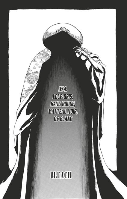 Bleach - T43 - Chapitre 374