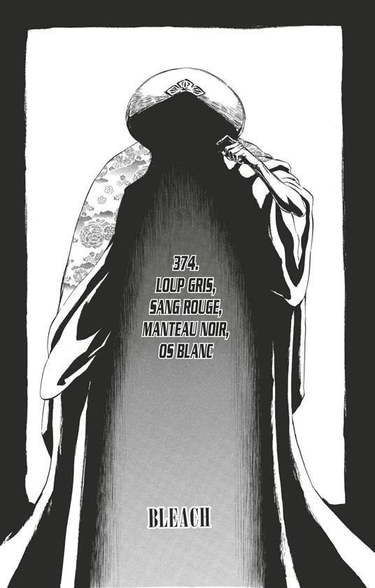 Bleach - T43 - Chapitre 374