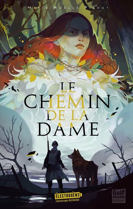 Le Chemin de la Dame - Marie-Noëlle Pichot - ebook