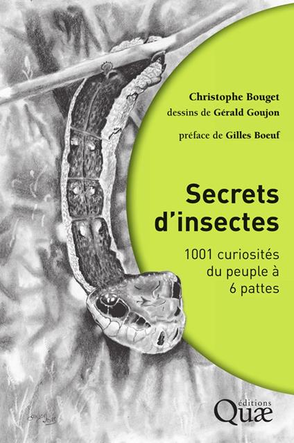 Secrets d'insectes