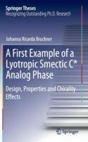 A First Example of a Lyotropic Smectic C* Analog Phase: Design, Properties and Chirality Effects - Johanna. R Bruckner - cover
