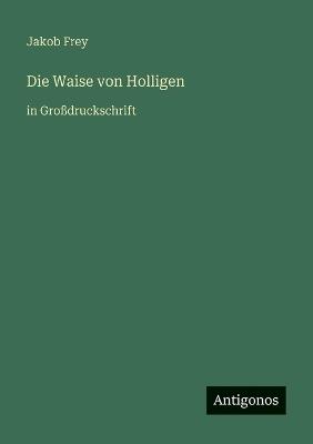 Die Waise von Holligen: in Großdruckschrift - Jakob Frey - cover