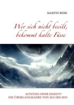 Wer sich nicht beeilt, bekommt kalte Füsse: Aufstieg oder Eiszeit? Die Übergangsjahre von 2012 bis 2035 - Martin Bieri - cover