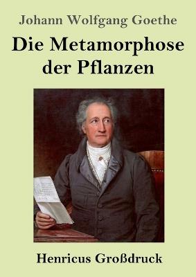 Die Metamorphose der Pflanzen (Großdruck) - Johann Wolfgang Goethe - cover