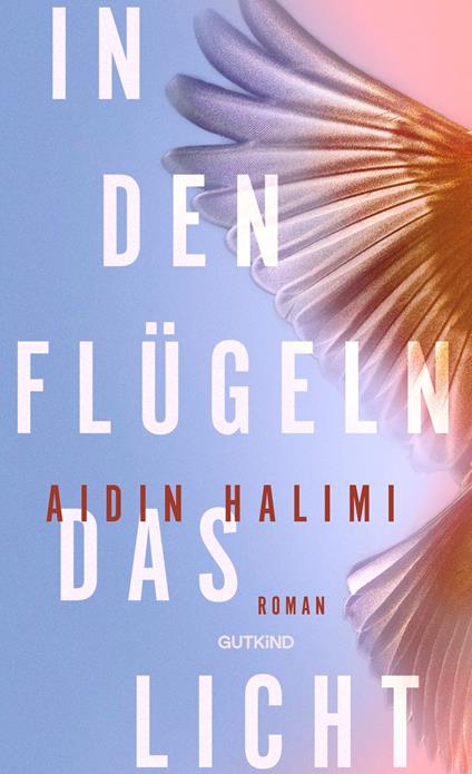In den Flügeln das Licht