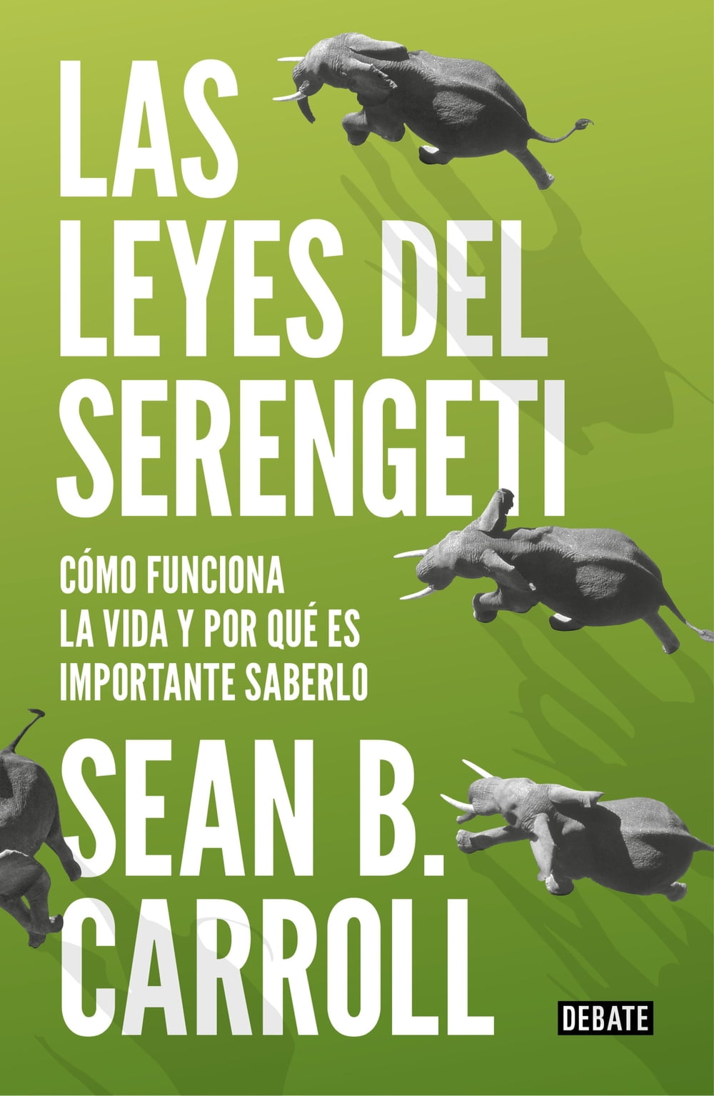 ibs