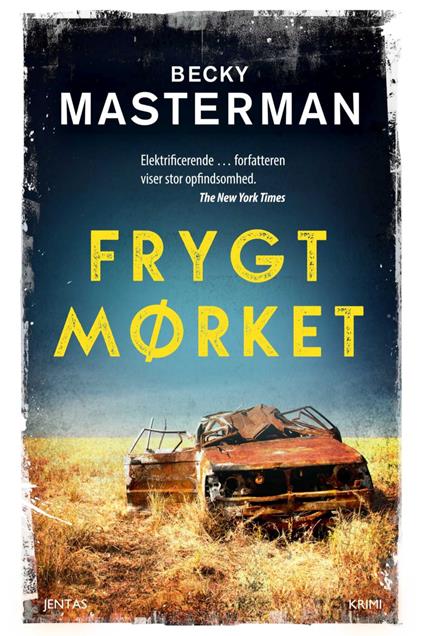 Frygt mørket - Becky Masterman,Eva Birklund - ebook
