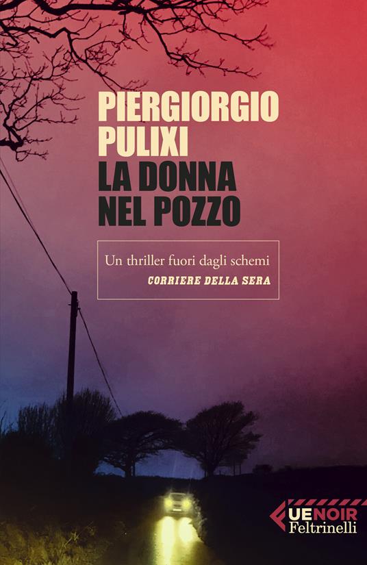 La donna nel pozzo - Piergiorgio Pulixi - copertina