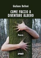 Nome prodotto