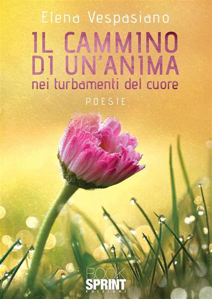 Il cammino di un'anima nei turbamenti - Elena Vespasiano - ebook