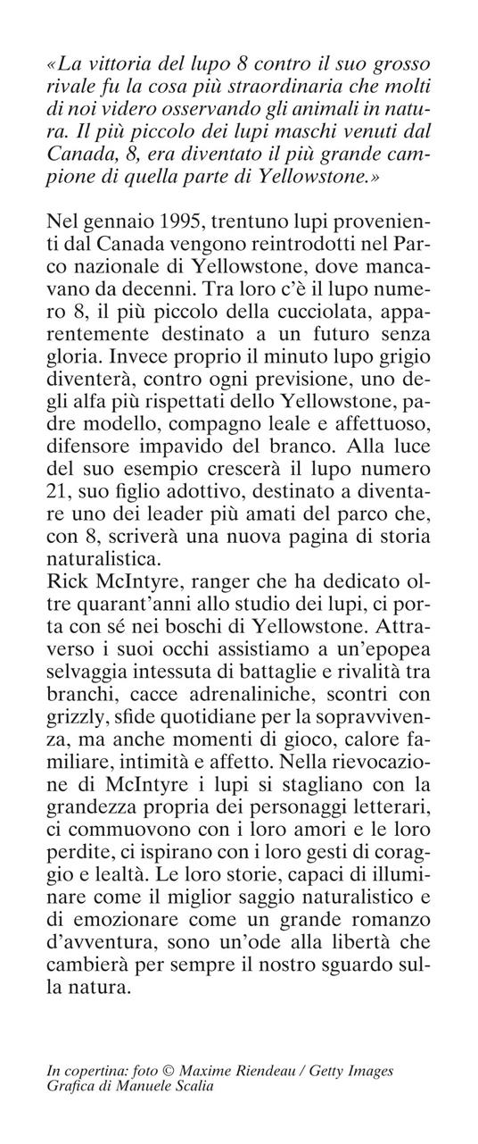 La leggenda del lupo Numero 8. Una grande storia d'amore e coraggio nel parco di Yellowstone - Rick McIntyre - 2