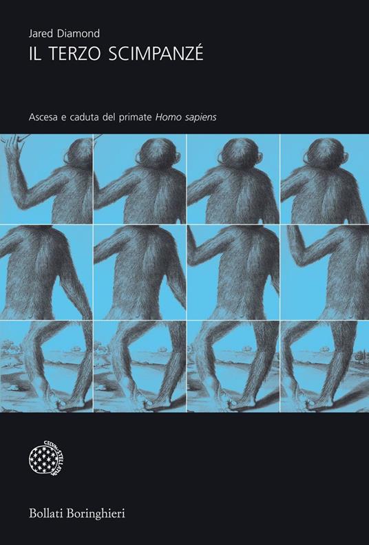 Il terzo scimpanzé. Ascesa e caduta del primate Homo sapiens - Jared Diamond,Libero Sosio - ebook