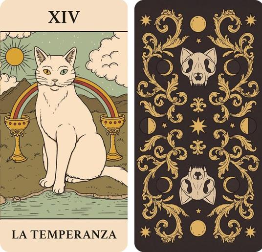 Tarocchi magici dei gatti. Mini. L’oracolo per veri devoti dei felini. Con 78 Carte - Thiago Corrêa,Chaterine Davidson - 3