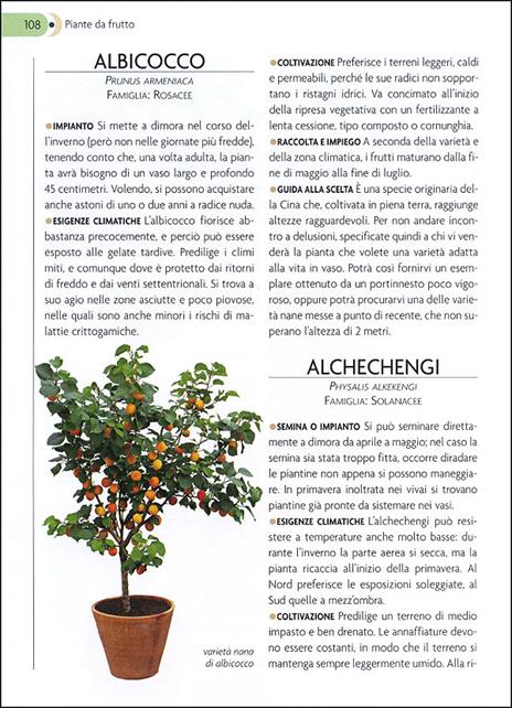 L'orto sul balcone. Organizzazione e coltivazione - 3