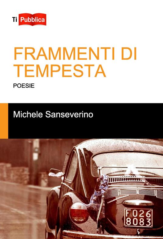 Frammenti di tempesta - Michele Sanseverino - copertina