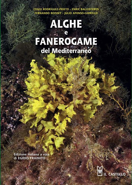 Alghe e fanerogame del Mediterraneo. Ediz. illustrata - copertina
