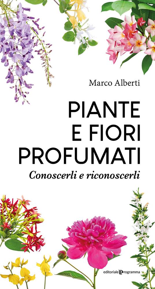 Piante e fiori profumati. Conoscerli e riconoscerli - Marco Alberti - copertina