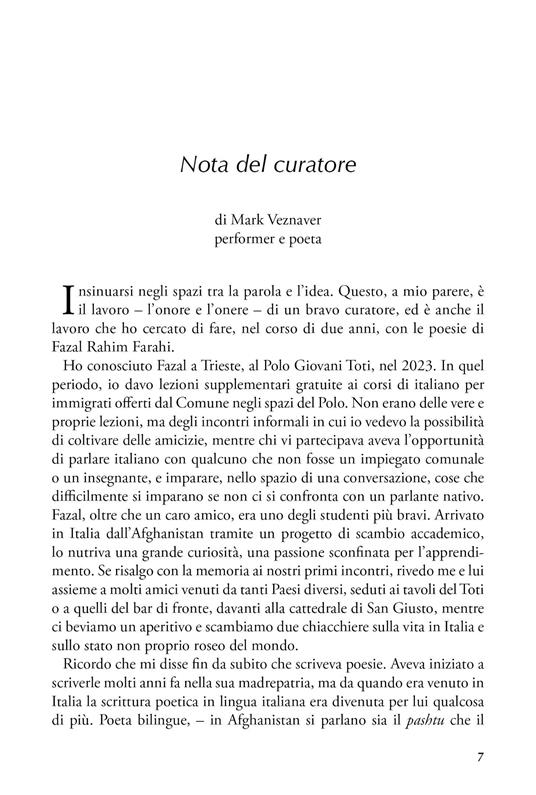 Ombra in attesa del sole - Farahi Rahim Fazal - 2
