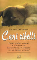 Gerard Libri