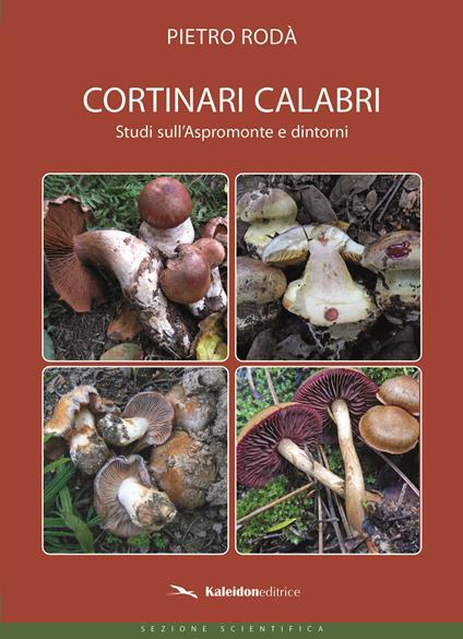 Cortinari Calabri. Studi sull'Aspromonte e dintorni - Pietro Rodà - copertina