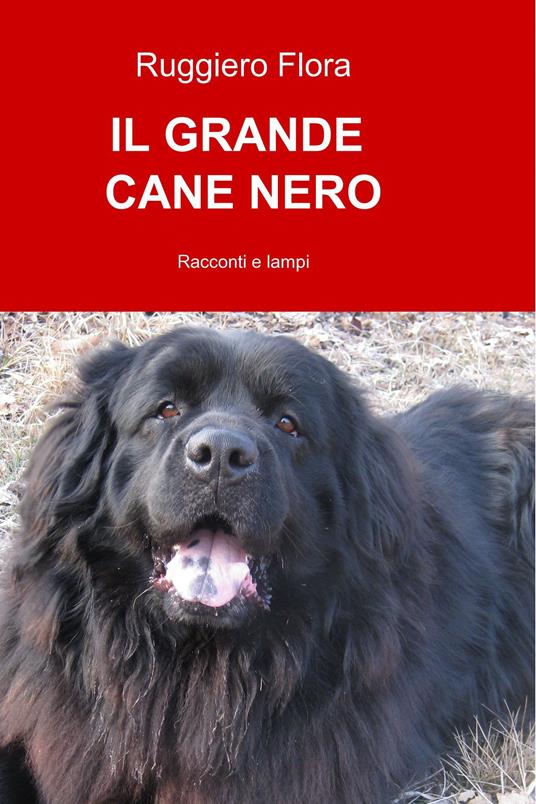 Il grande cane nero - Flora Ruggiero - ebook