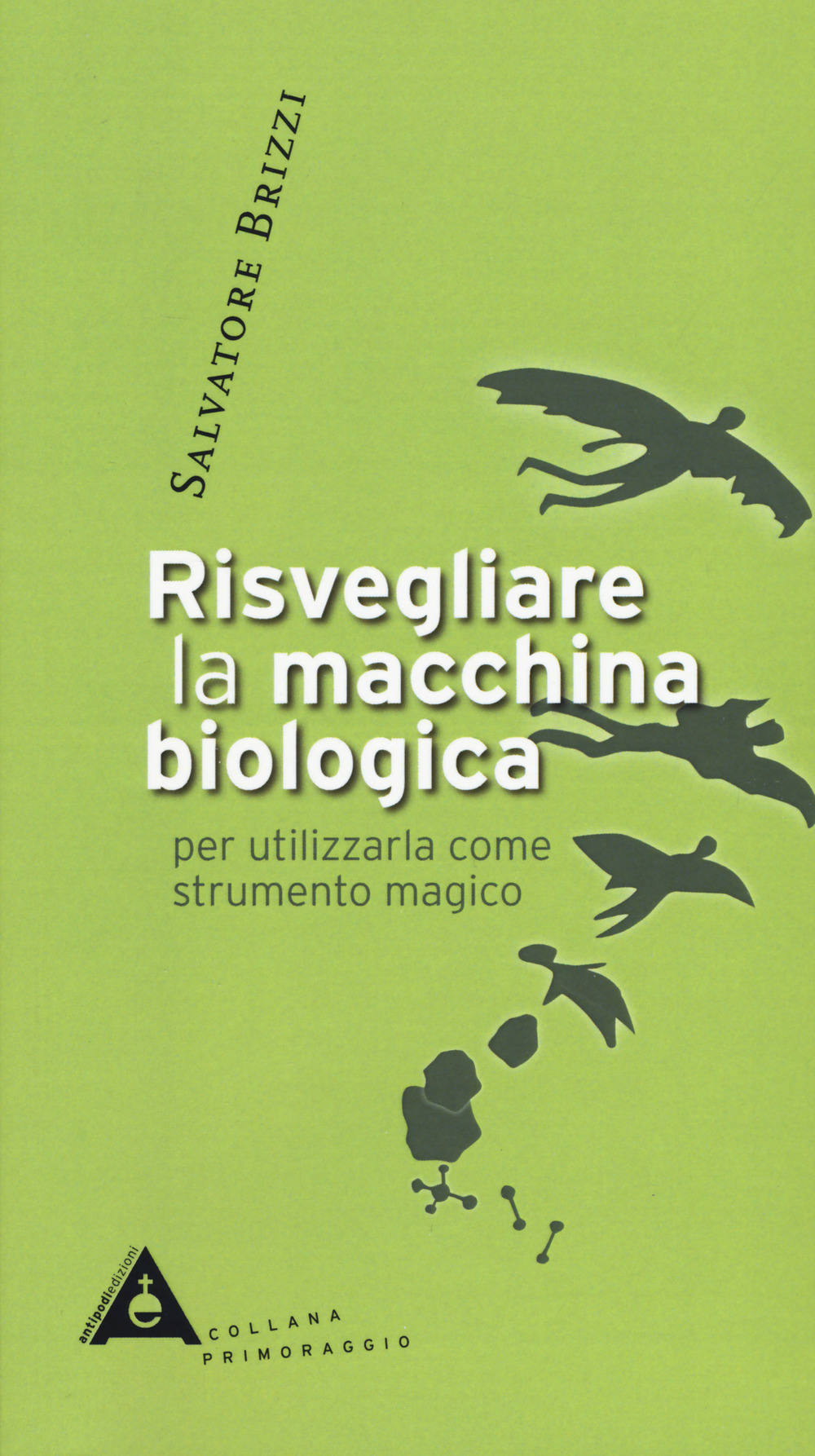 ibs