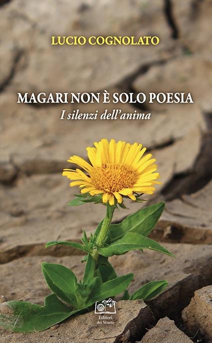 Magari non è solo poesia. I silenzi dell'anima - Lucio Cognolato - copertina