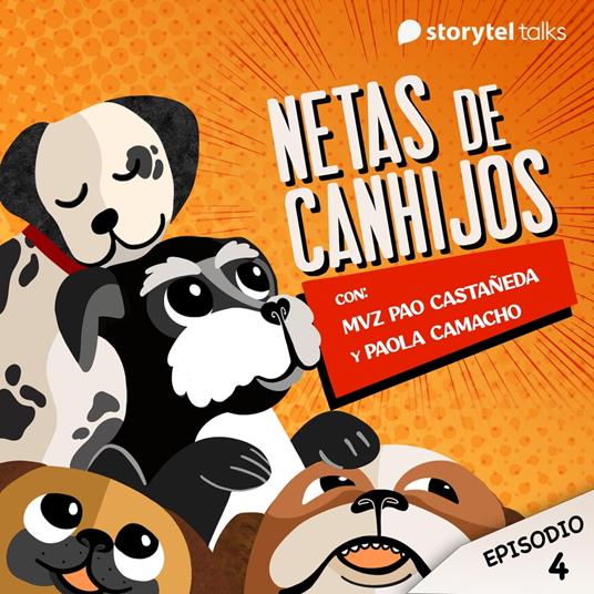 ¿Los perros tienen sentimientos?