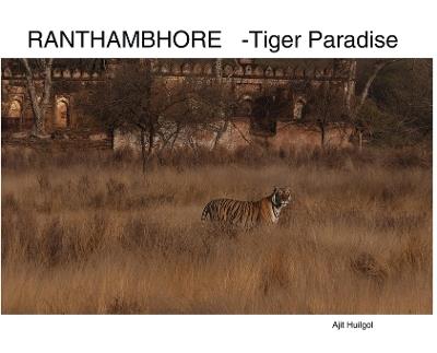 Ranthambhore: Tiger Paradise - Ajit Huilgol - cover