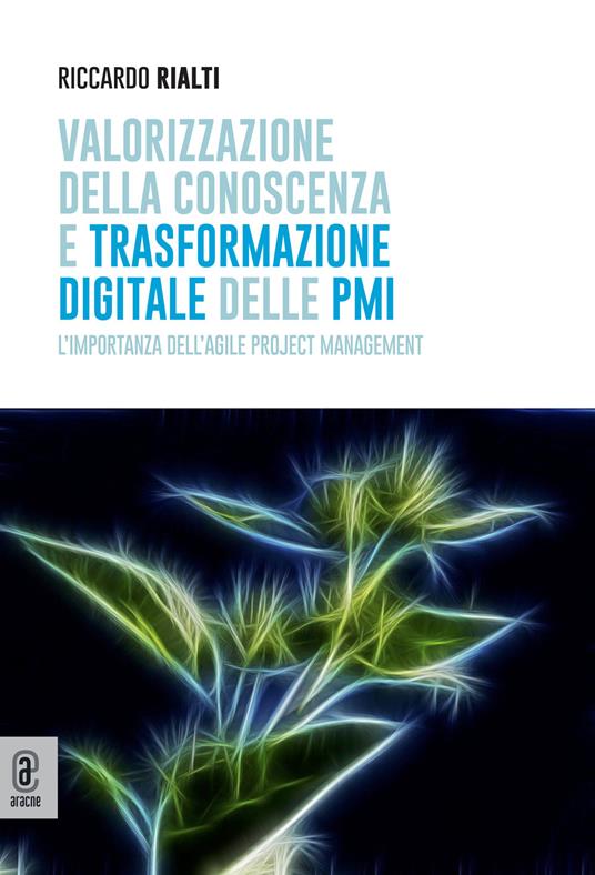 Valorizzazione della conoscenza e trasformazione digitale delle PMI. L'importanza dell'Agile Project Management - Riccardo Rialti - copertina
