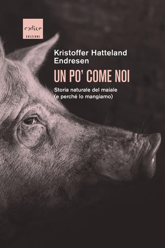 Un po' come noi. Storia naturale del maiale (e perché lo mangiamo) - Kristoffer Hatteland Endresen - copertina