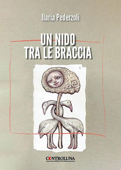 Un nido tra le braccia - Ilaria Pederzoli - copertina