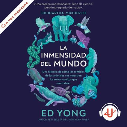 La inmensidad del mundo