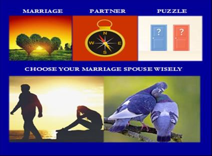 Marriage Partner Puzzle