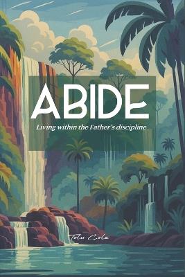 Abide: Living under the father's discipline - Tolu Cole - cover